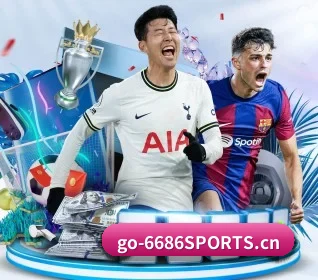 6686体育 APP 界面